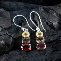 Sofia multicolor Dainty multiple Dangle Earring