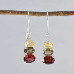 Sofia multicolor Dainty multiple Dangle Earring