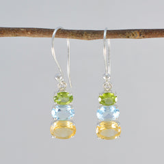 Victoria multicolor Dainty multiple Dangle Earring