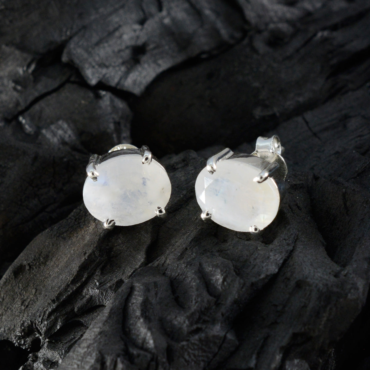 Paula White Dainty Solitaire Stud Earring