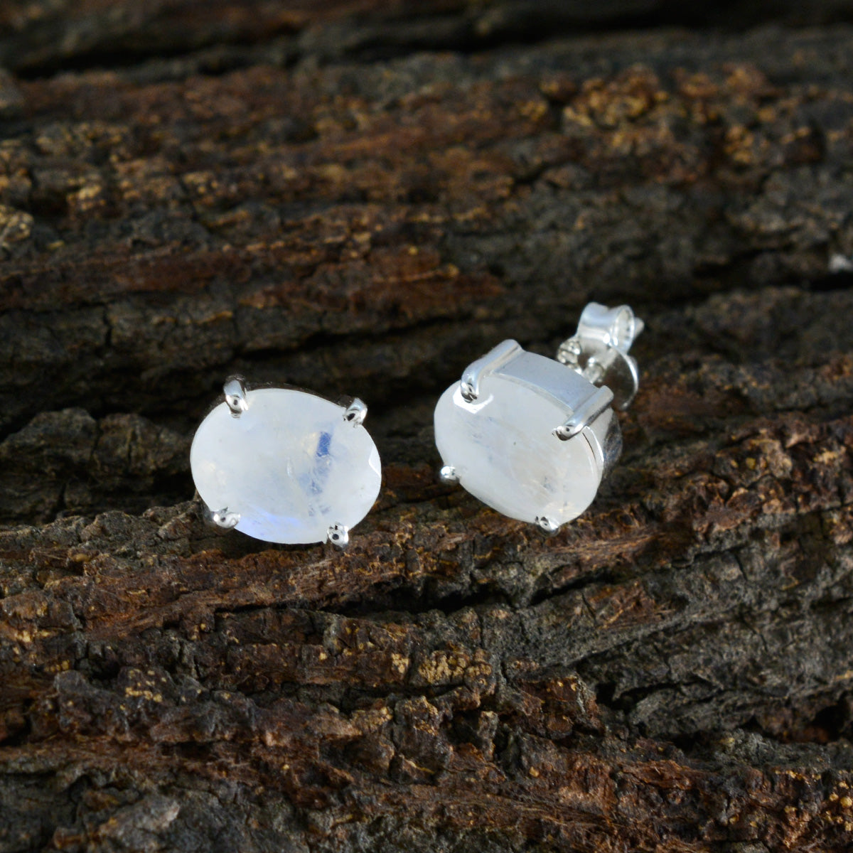 Paula White Dainty Solitaire Stud Earring