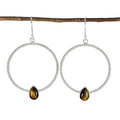 Soo jin Brown Mid weight Solitaire Dangle Earring Tiger Eye Brown Dangle