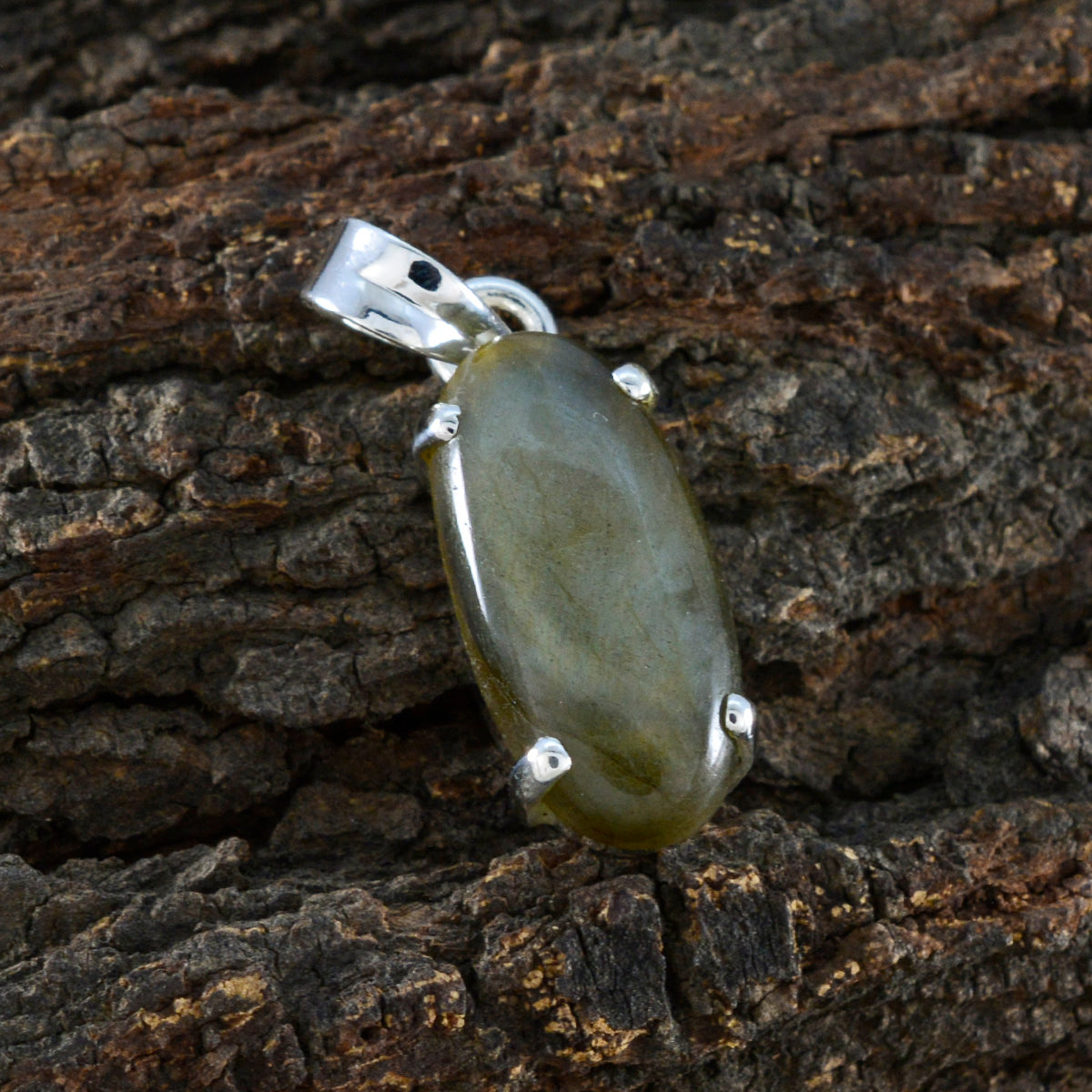 Isabella Grey Sophisticated Eye-catching Pendant